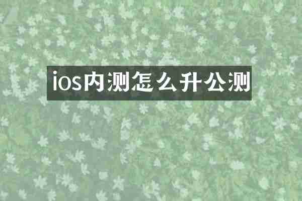 ios内测怎么升公测