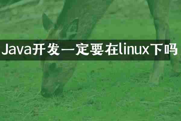 Java开发一定要在linux下吗