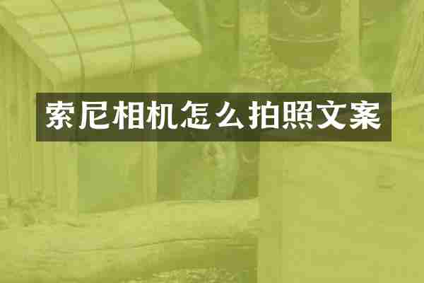 索尼相机怎么拍照文案