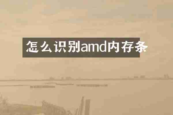 怎么识别amd内存条