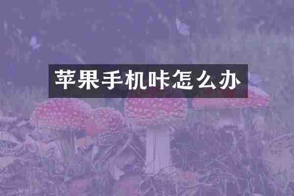 苹果手机咔怎么办