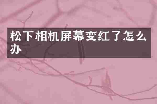 松下相机屏幕变红了怎么办