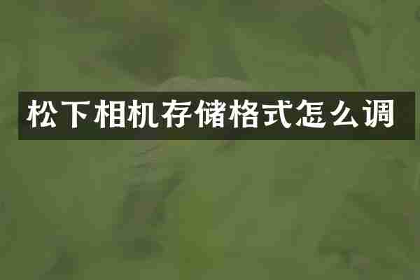 松下相机存储格式怎么调