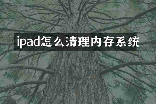 ipad怎么清理内存系统