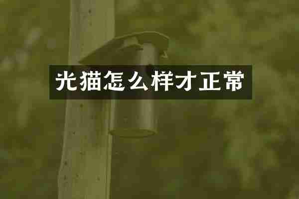 光猫怎么样才正常