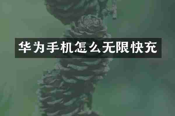 华为手机怎么无限快充