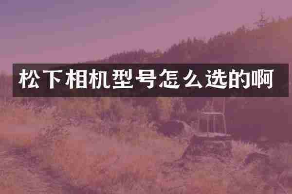 松下相机型号怎么选的啊