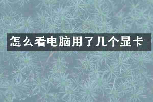 怎么看电脑用了几个显卡