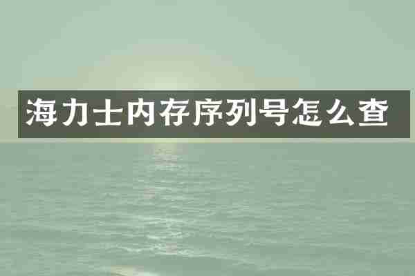 海力士内存序列号怎么查