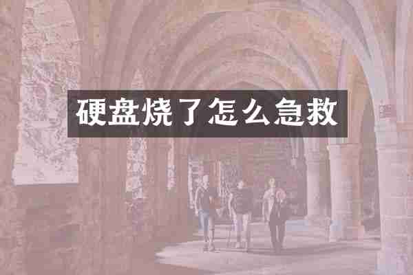 硬盘烧了怎么急救