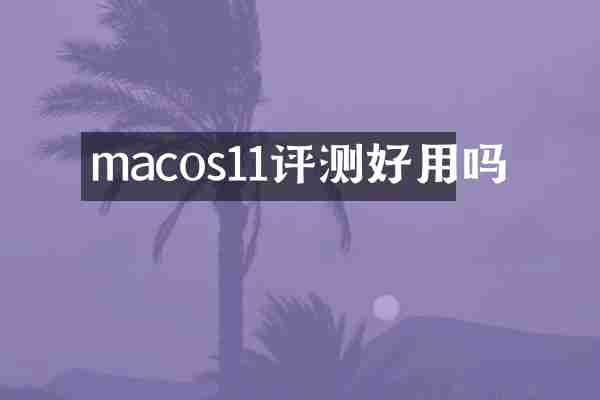 macos11评测好用吗