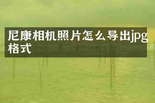 尼康相机照片怎么导出jpg格式
