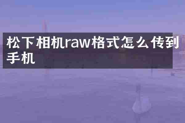 松下相机raw格式怎么传到手机