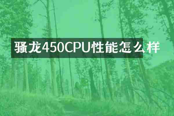 骚龙450CPU性能怎么样