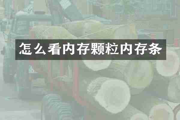 怎么看内存颗粒内存条