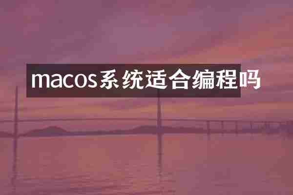 macos系统适合编程吗