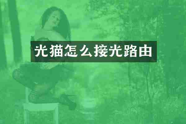 光猫怎么接光路由