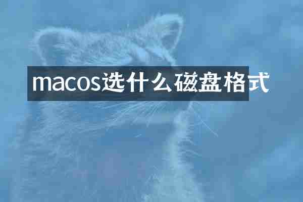 macos选什么磁盘格式