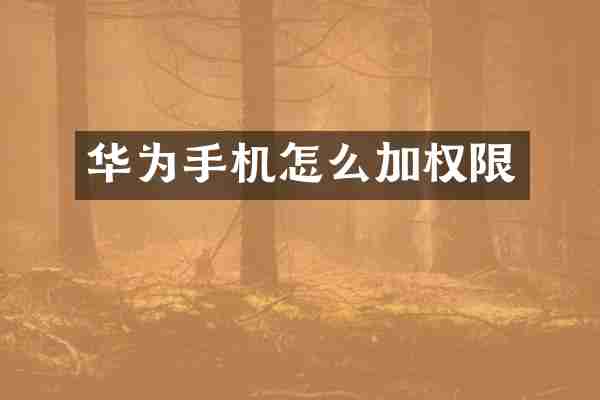 华为手机怎么加权限