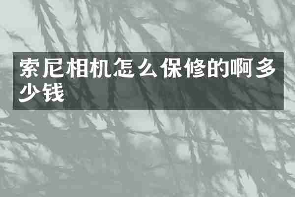 索尼相机怎么保修的啊多少钱
