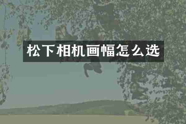 松下相机画幅怎么选
