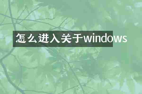 怎么进入关于windows