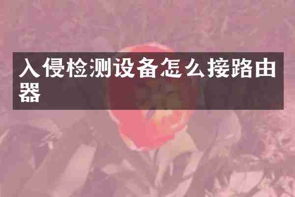 入侵检测设备怎么接路由器