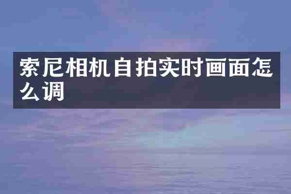索尼相机自拍实时画面怎么调