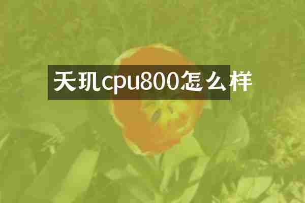 天玑cpu800怎么样