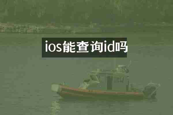 ios能查询id吗