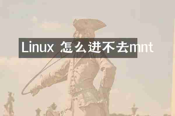 Linux 怎么进不去mnt