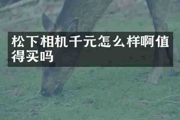 松下相机千元怎么样啊值得买吗