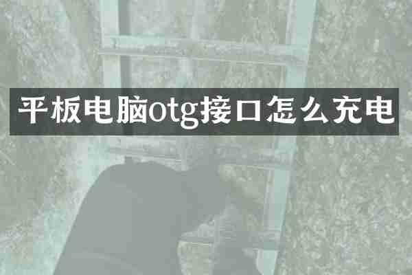 平板电脑otg接口怎么充电