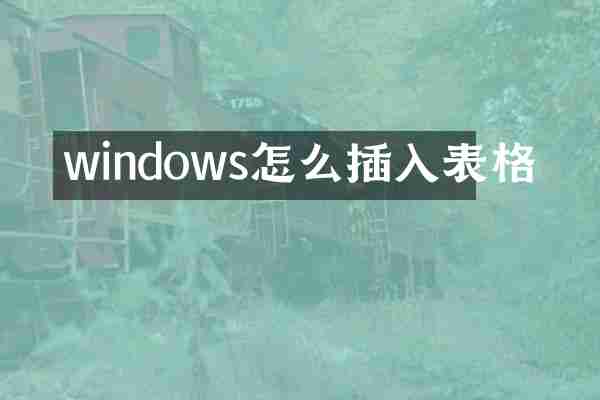 windows怎么插入表格