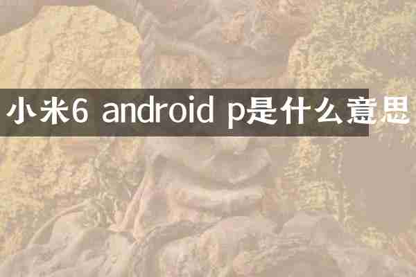 小米6 android p是什么意思