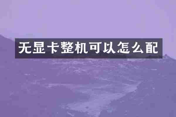 无显卡整机可以怎么配
