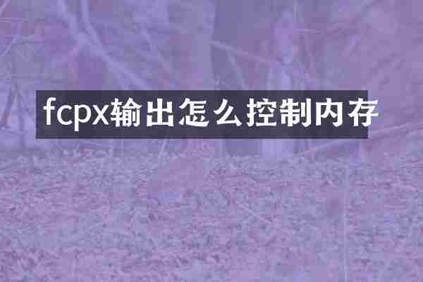 fcpx输出怎么控制内存