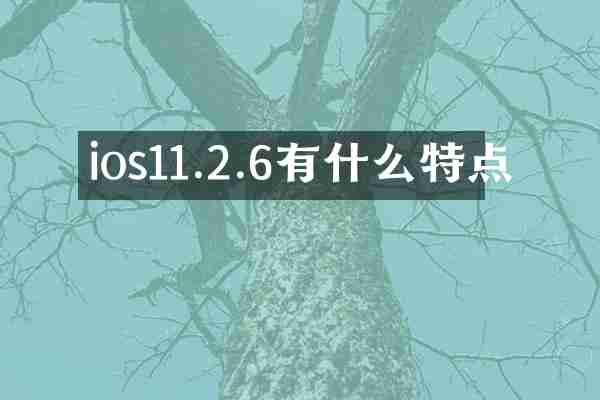 ios11.2.6有什么特点