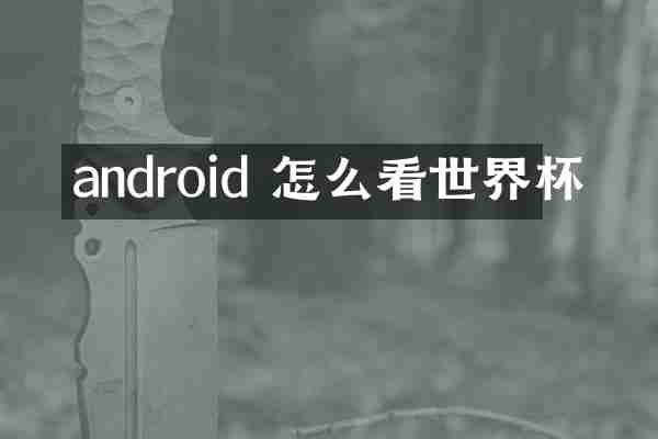 android 怎么看世界杯