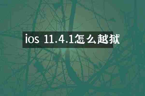 ios 11.4.1怎么越狱