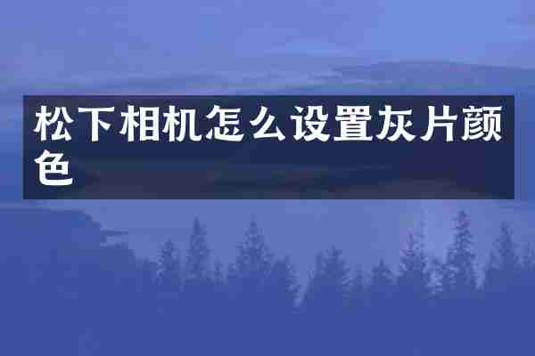 松下相机怎么设置灰片颜色