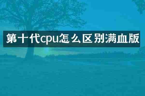 第十代cpu怎么区别满血版