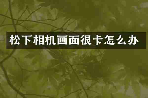 松下相机画面很卡怎么办