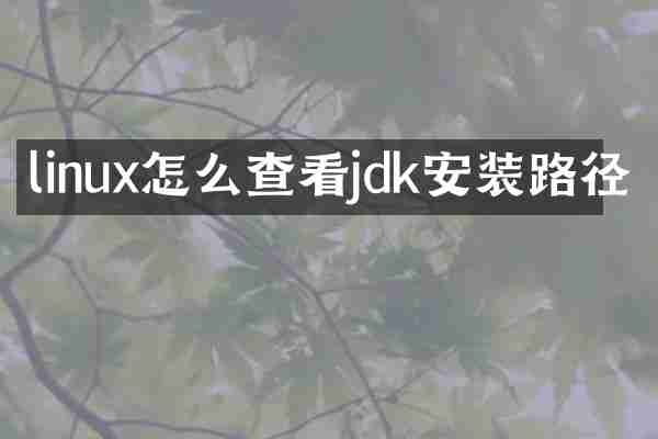 linux怎么查看jdk安装路径