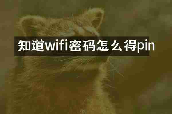 知道wifi密码怎么得pin