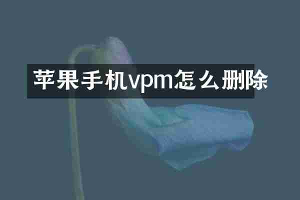 苹果手机vpm怎么删除