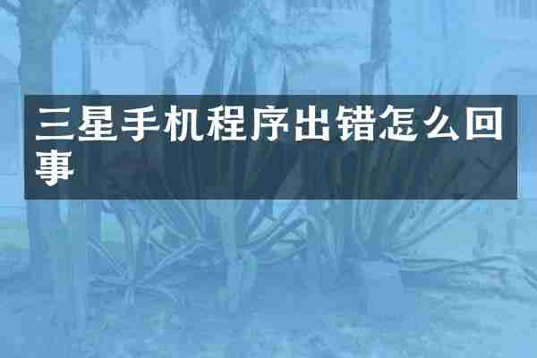 三星手机程序出错怎么回事