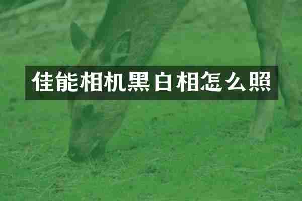 佳能相机黑白相怎么照