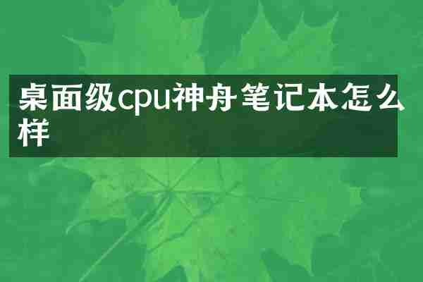 桌面级cpu神舟笔记本怎么样