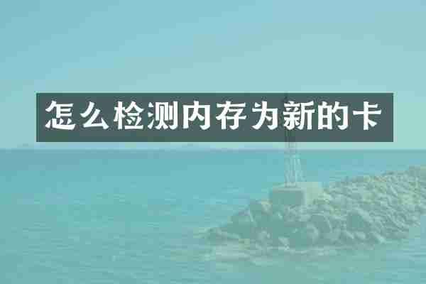 怎么检测内存为新的卡
